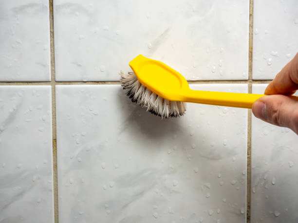 Best Mold Damage Repair  in Ontario, CA