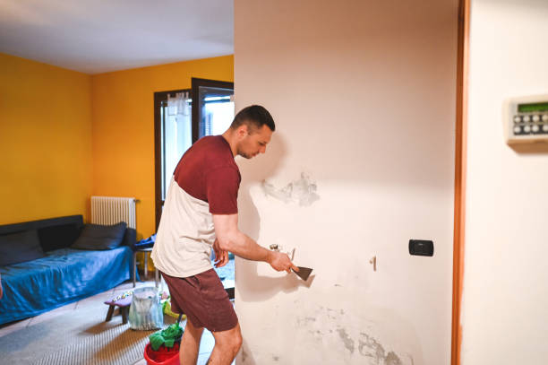 Best Local Mold Removal Service  in Ontario, CA