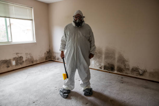 Mold Removal Process in Ontario, CA