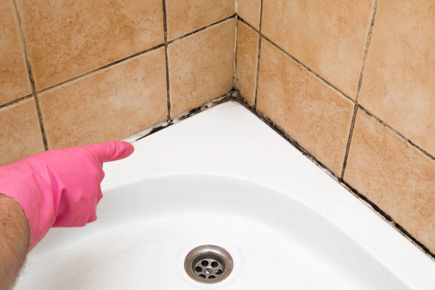 Best Commercial Mold Removal  in Ontario, CA
